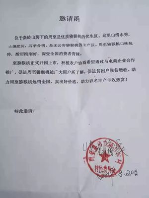 愛心傳遞周至 40萬(wàn)斤獼猴桃滯銷待援，無(wú)聲老人與留守兒童的期盼