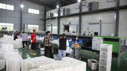 修文縣首個(gè)即食獼猴桃加工中心建成投用，開啟獼猴桃產(chǎn)業(yè)發(fā)展新篇章