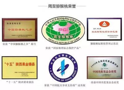 周至獼猴桃盼銷路 萬千兒女的呼喚，您的援手見真情